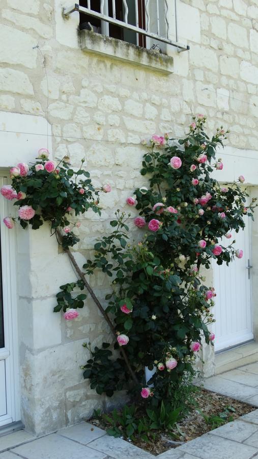Moulin De Reigner Bed & Breakfast Anche  Exterior photo